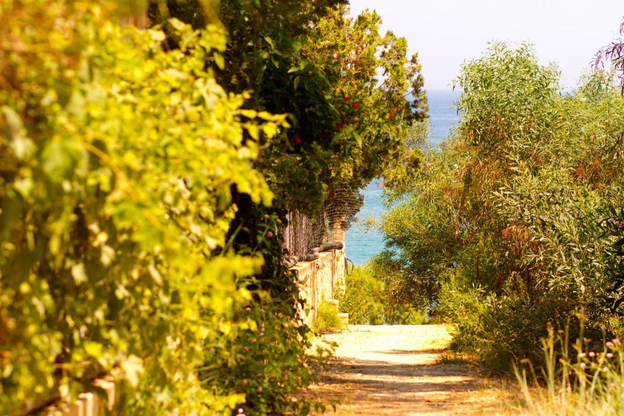 Aparthotel Pyrgaraki And Vasilikos (Zakynthos)