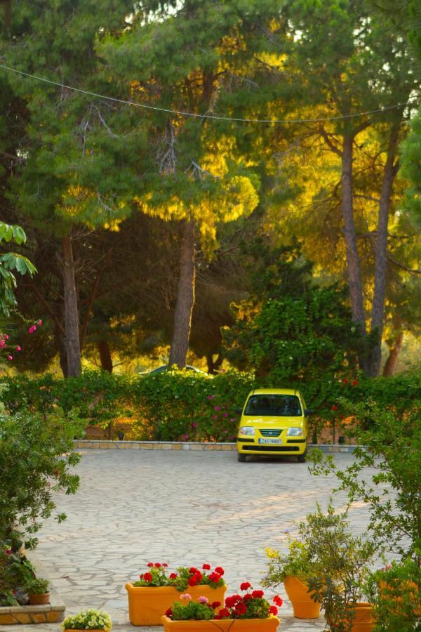 Aparthotel Pyrgaraki And Vasilikos (Zakynthos)